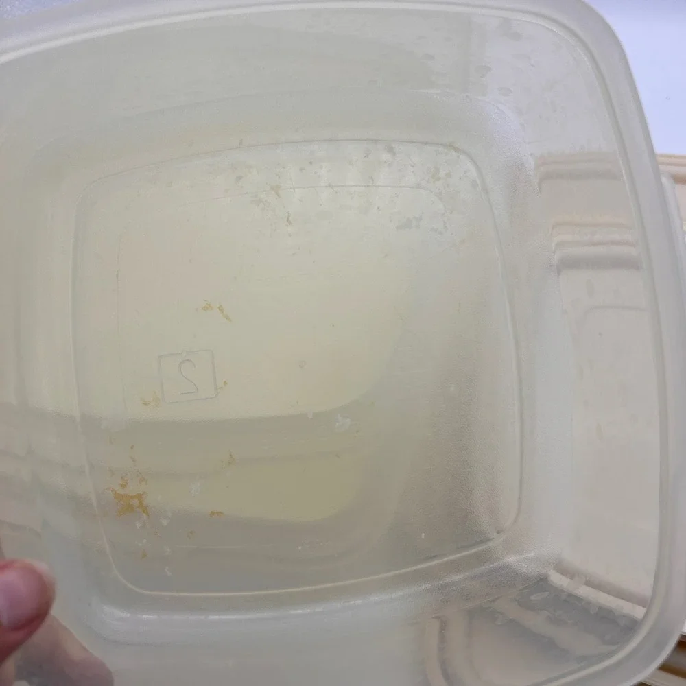 Rubbermaid servin saver
